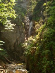 2013-07-20_Regina-F-Rau_Kochel-Rabenkopf (113).JPG